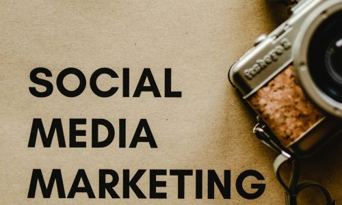 pexels photo 6956300 6956300